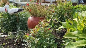 ПОКА ЕЩЁ КОЕ-ЧТО РАСТЁТ/ТОЛЯ В ДОРОГЕ.