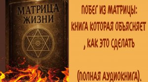 ПОБЕГ ИЗ МАТРИЦЫ: КАК ВЫЙТИ ИЗ ИЛЛЮЗИИ И ОБРЕСТИ СВОБОДУ | ПОЛНАЯ АУДИОКНИГА