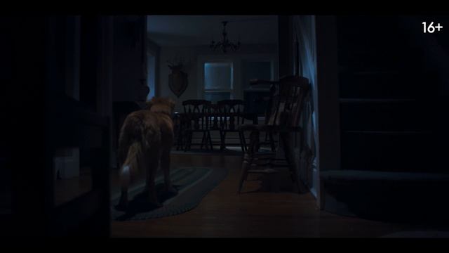 Глазами пса - 2025 (09) смотреть онлайн