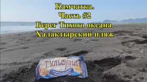 Камчатка с детьми. Часть #2. Берег Тихого океана. Халактырский пляж