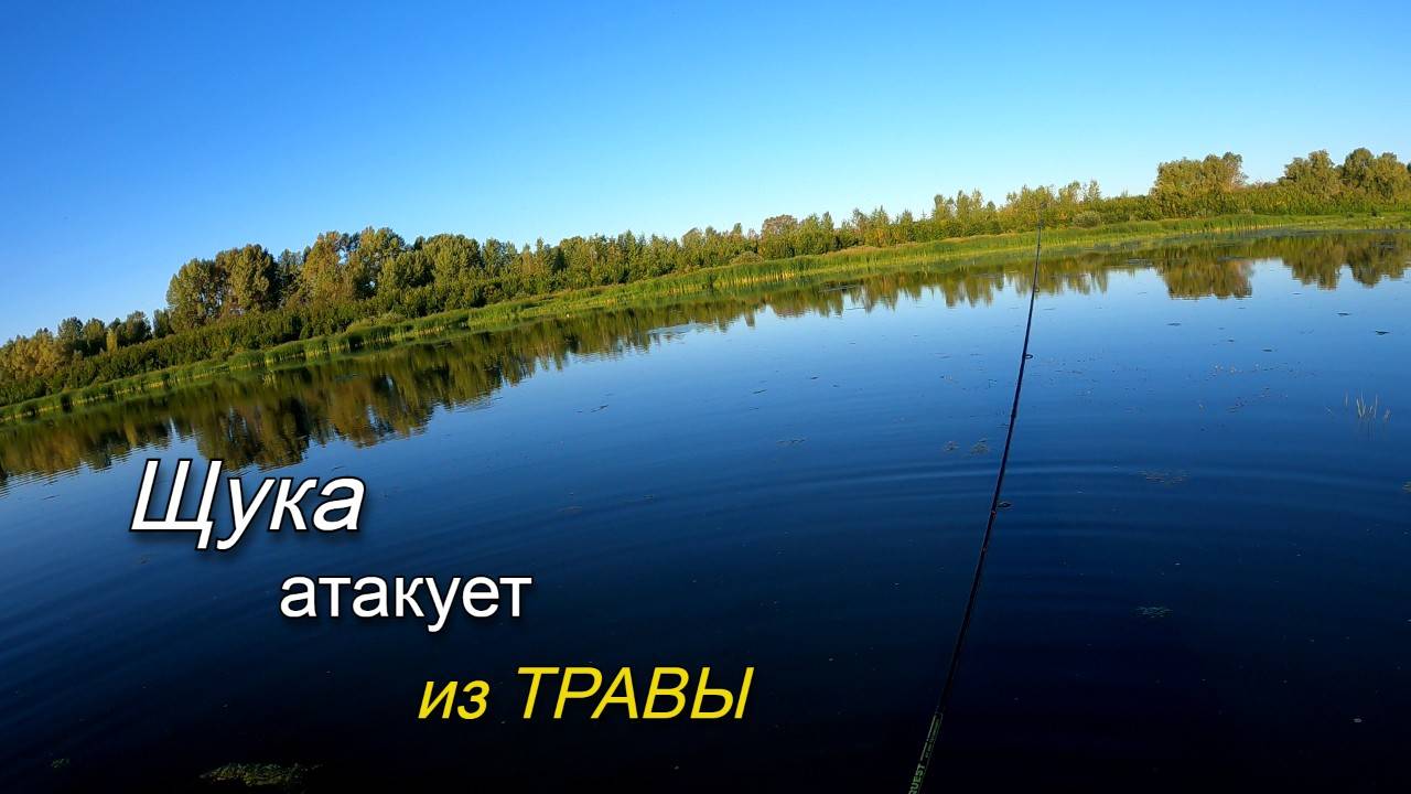 Рыбалка на щуку в конце августа. Щука бросается на приманки прямо из травы. смотреть онлайн