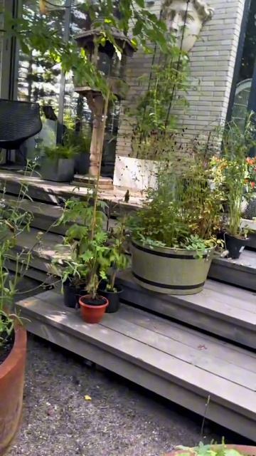 Подписывайтесь на телеграм: БОБЁР.school смотреть онлайн