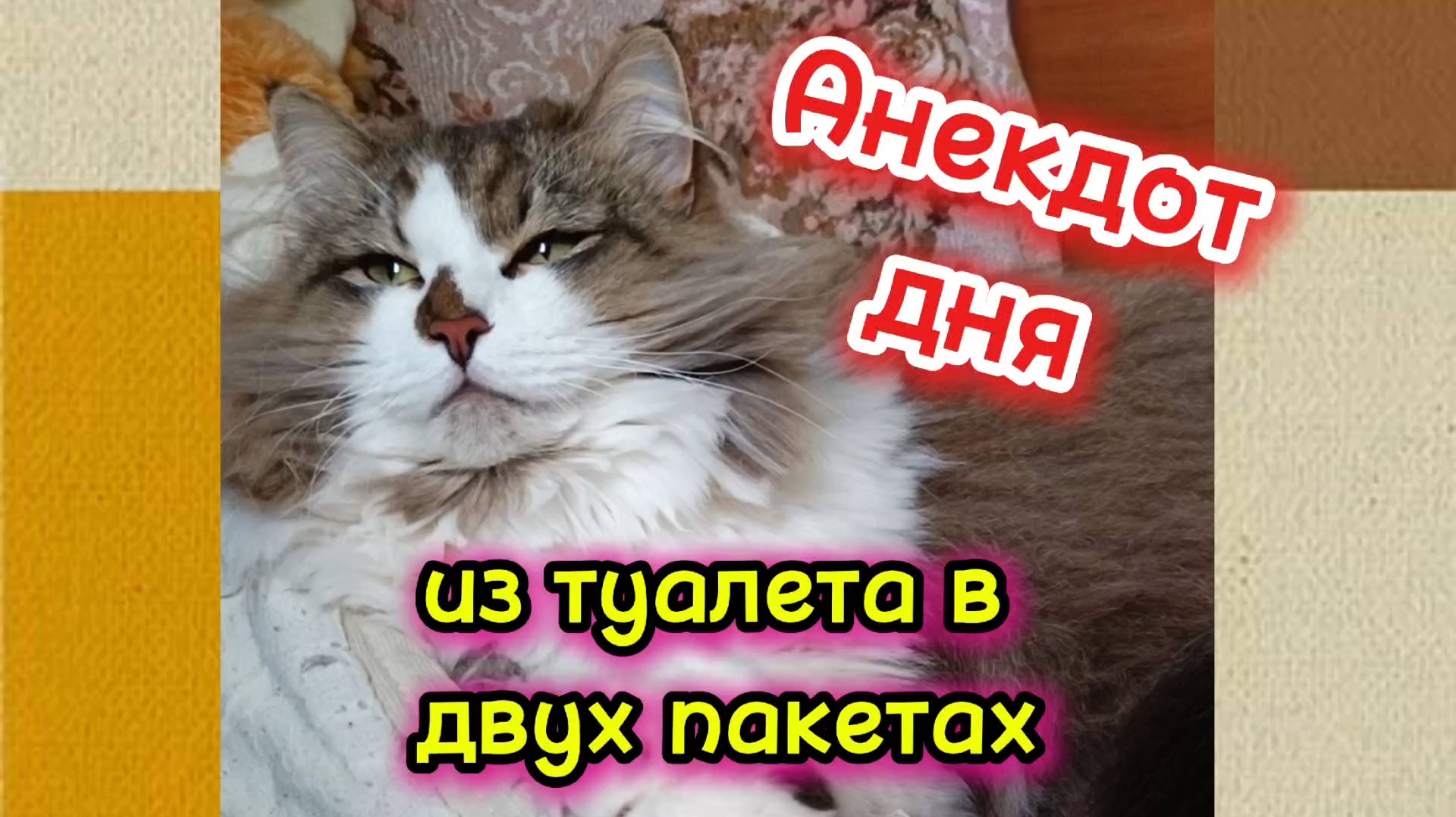 Анекдот дня. смотреть онлайн