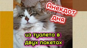 Анекдот дня.