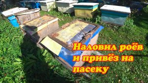 ПОЕХАЛ СНИМАТЬ ЛОВУШКИ, НЕ СМОТРЕЛ ВСЁ ЛЕТО И СКОЛЬКО ПОПАЛО РОЁВ. 1 Часть.