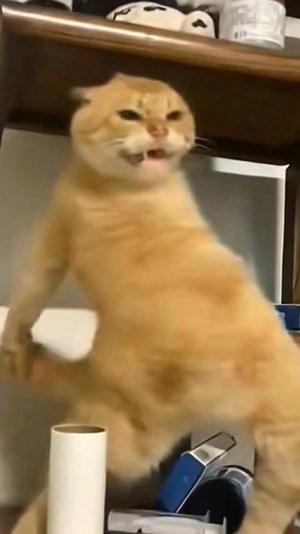 😂 ШАУРМА С КОТЛЕТКОЙ 🙀 | И ТАК БОЛЕЮ 🤧 | ОЗВУЧКА ОТ ROMEO 🔥 | #говорящийкот #озвучка #угараю