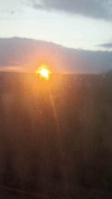 Из окна поезда на Питер.