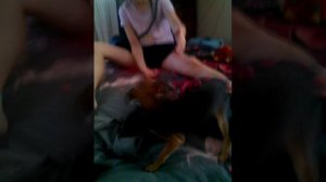 Мои сборы собак что бы пойти гулять с моей подругой Ульяной!