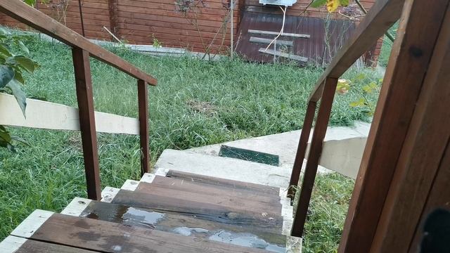 СОЧИ ГОРНОЕ ЛОО УТРО 12.09.2025 смотреть онлайн