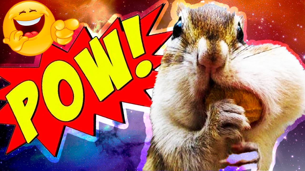 ЛУЧШИЕ ПРИКОЛЫ СЕНТЯБРЬ 2025 | ПОПРОБУЙ НЕ ЗАСМЕЯТЬСЯ | ТЕСТ НА ПСИХИКУ | РЖАКА ДО СЛЕЗ смотреть онлайн