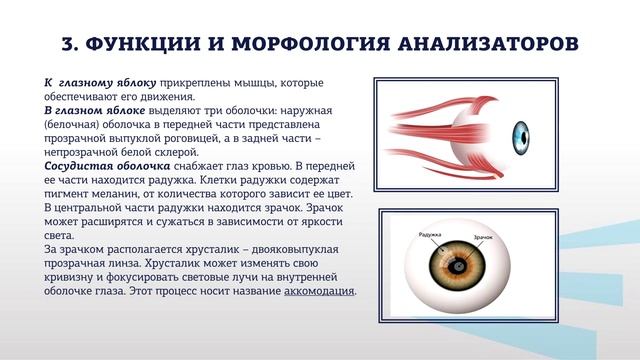 Жиленко ФЗ 3 2