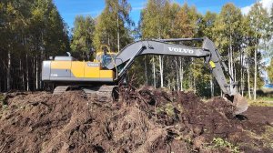 Расчистка участк под дом. Гусянка делает вещи.