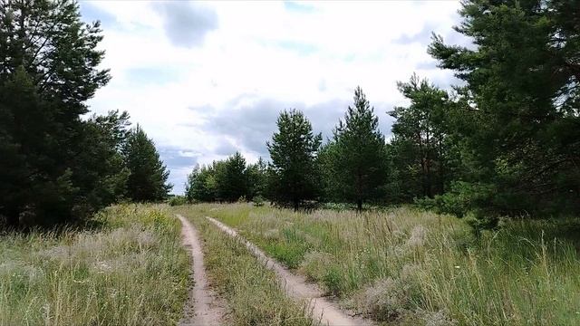 Ягодный сезон. Летняя прогулка смотреть онлайн