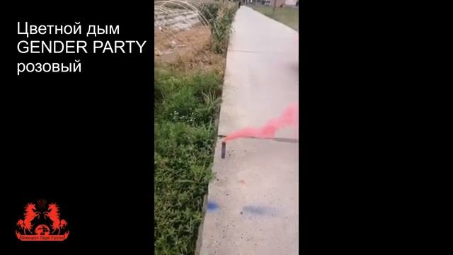WPS-73 цветной дым GENDER PARTY розовый смотреть онлайн