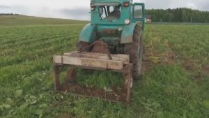 ПРОСТОЙ СПОСОБ ВЫКОПКИ ЧЕСНОКА