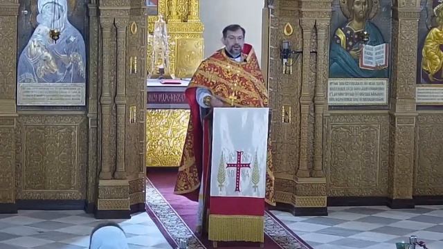 Исцеление слепорожденного. Проповедь протоиерея Димитрия Сизоненко смотреть онлайн