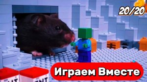 МОРСКАЯ СВИНКА ПОПАЛА В ПОДЗЕМЛЬЕ С СОКРОВИЩАМИ 🪙 ВИДЕО ДЛЯ ДЕТЕЙ