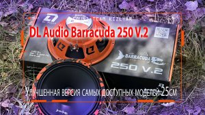 Улучшенная версия самых доступных моделей 25см эстрадной акустики DL Audio Barracuda 250 V.2