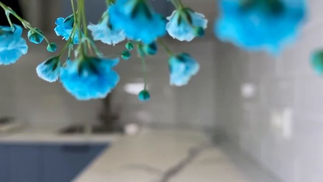КВАДРО Кухня смотреть онлайн