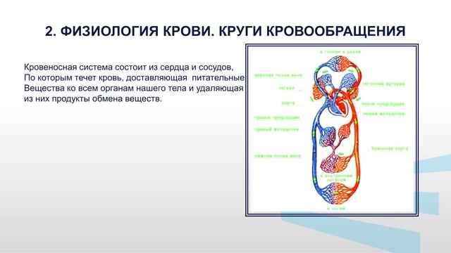 Жиленко ФЗ 1 2