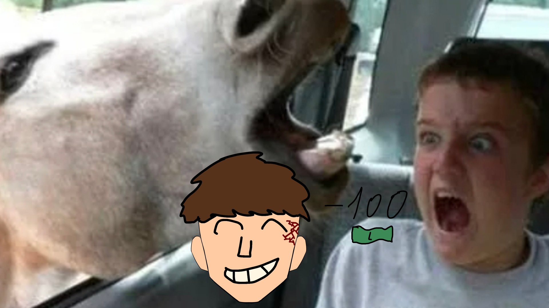 просмеялся задонатил смотреть онлайн