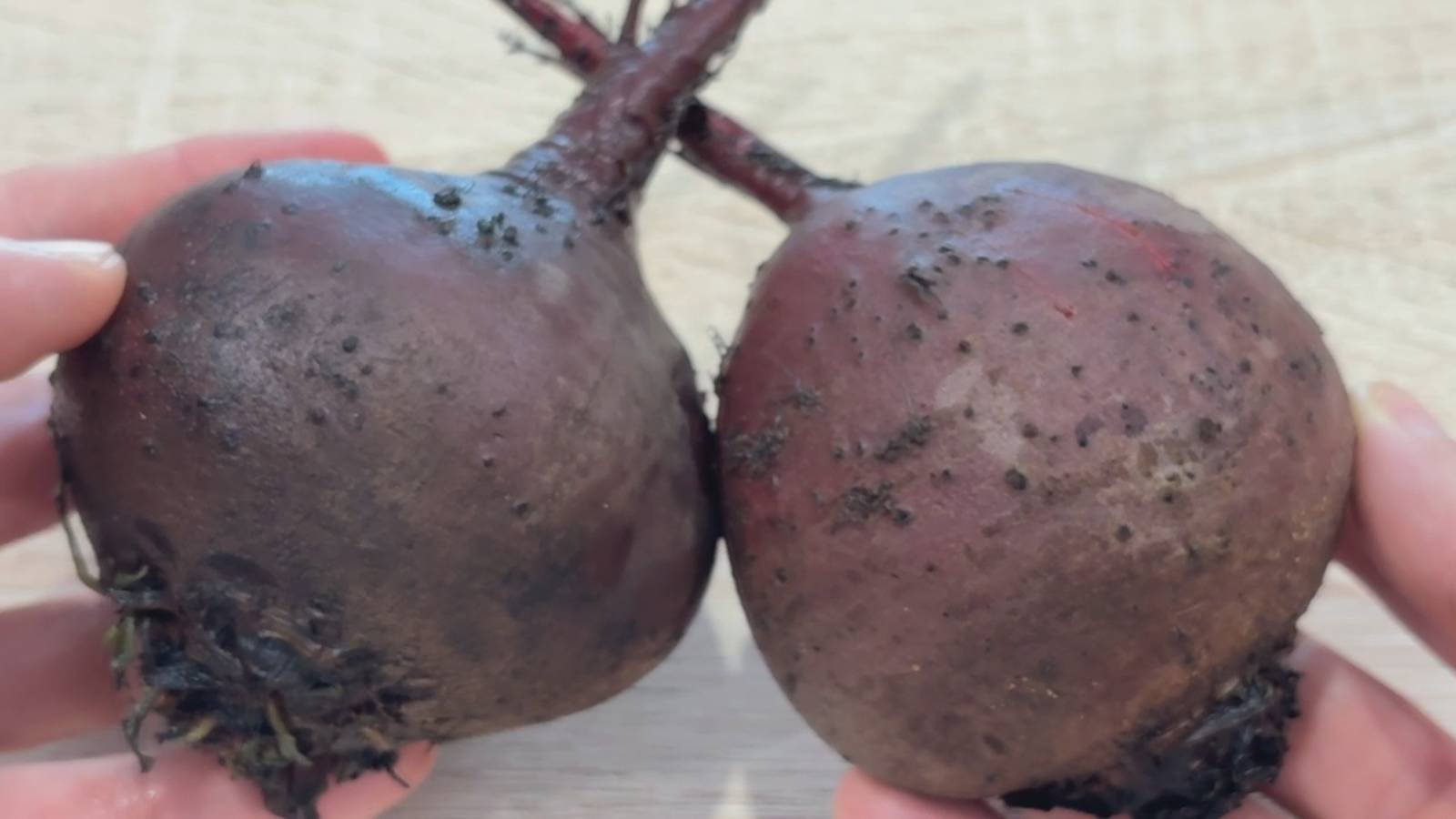 Съедят за минуту! Необыкновенно простой и вкусный Салат из обычной СВЕКЛЫ! смотреть онлайн