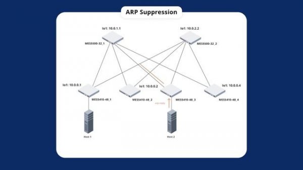 Построение IP-фабрики на оборудовании Eltex и ее возможности