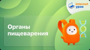 Биология 8 класс. Органы пищеварения