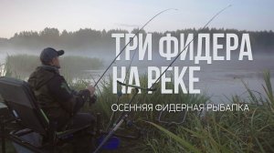Ночная рыбалка на Немане. Три фидера, туман и осенняя атмосфера