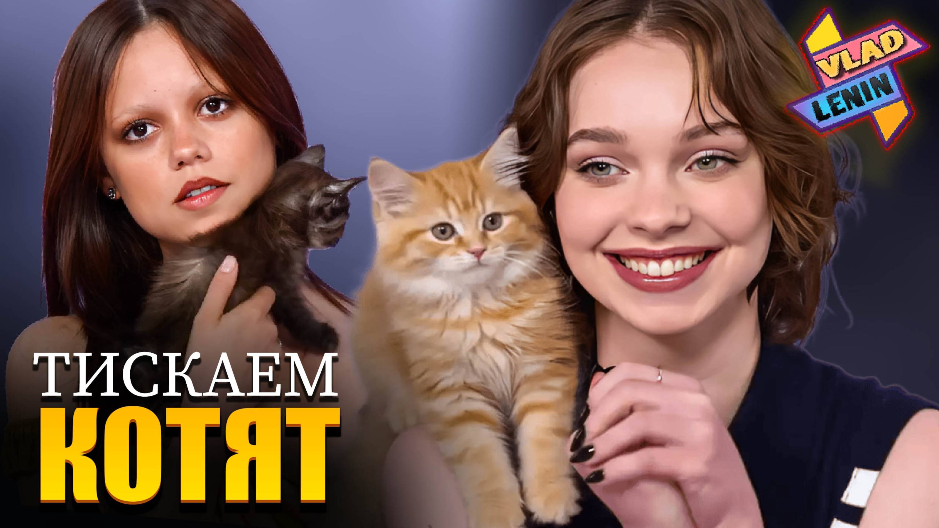 Актеры Уэнздей 2 играют с котятами и отвечают на вопросы | На русском смотреть онлайн