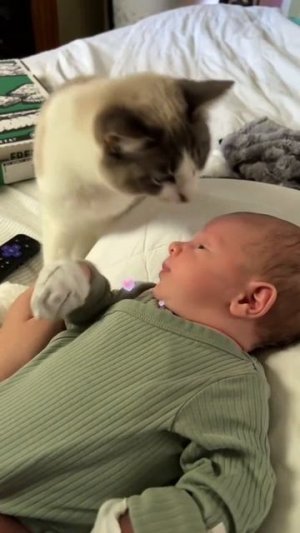 Милота😍😍
подписывайтесь на перчик🌶🌶 тут всё для хорошего настроения☺☺☺