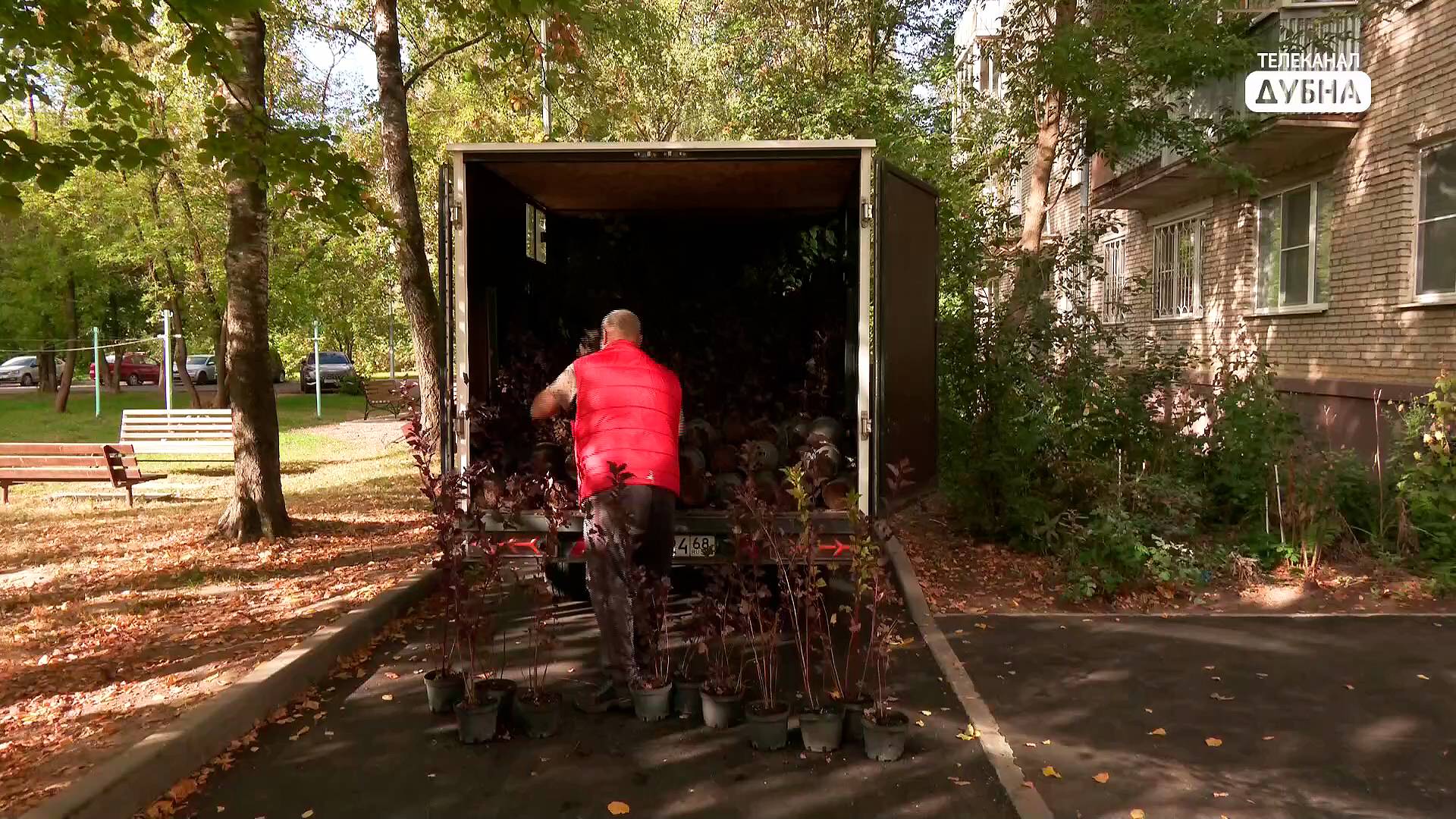 Более 500 деревьев и кустарников высадили за один день во дворах Левобережной Дубны смотреть онлайн