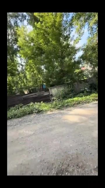 #тормоза #прогулка #крик #смех #юмор #ржака смотреть онлайн