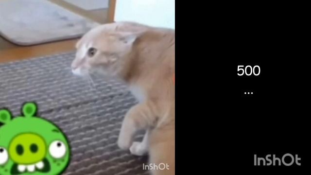 сколько у тебя хейтеров