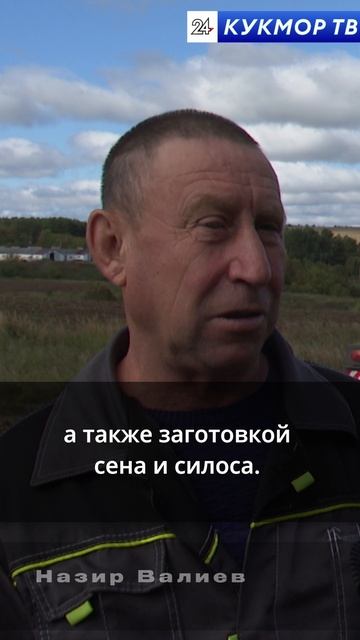 Уборочная – горячая пора смотреть онлайн