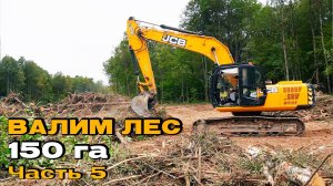 Профессия МАШИНИСТ ГУСЕНИЧНОГО ЭКСКАВАТОРА. Вырубка леса под аэропорт в г. Владимир