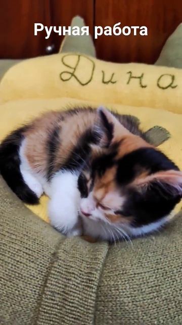 #котенок #котёнок #игрушка #ручная_работа #кися смотреть онлайн