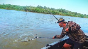ТРОФЕЙ ВЛЕТЕЛ НА ЗАКАТЕ. РЫБАЛКА НА САЗАНА. На донку и червя, жмых, макуха.