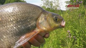 Рыбалка в Беларуси. Полудонка