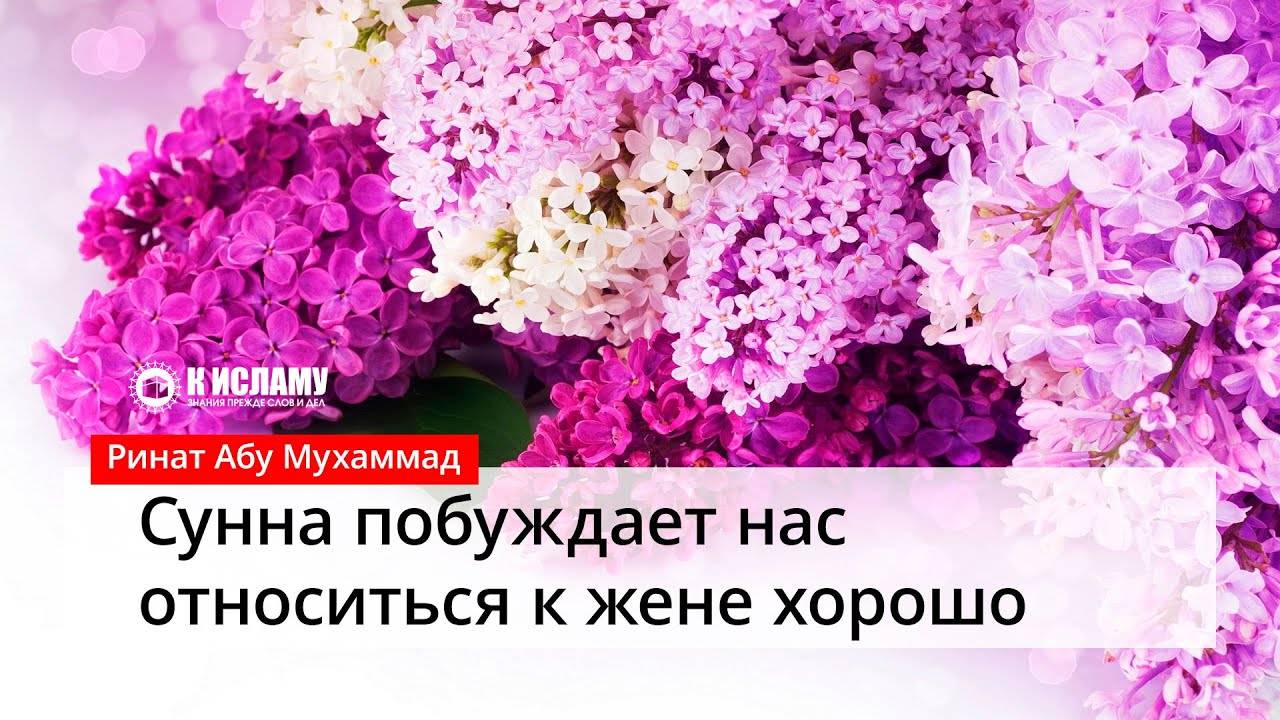Анонс лекций: «Сунна побуждает нас относиться к жене хорошо» | Ринат Абу Мухаммад смотреть онлайн