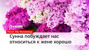 Анонс лекций: «Сунна побуждает нас относиться к жене хорошо» | Ринат Абу Мухаммад