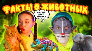 КОТ УЧЁНЫЙ | ФАКТЫ О ЖИВОТНЫХ