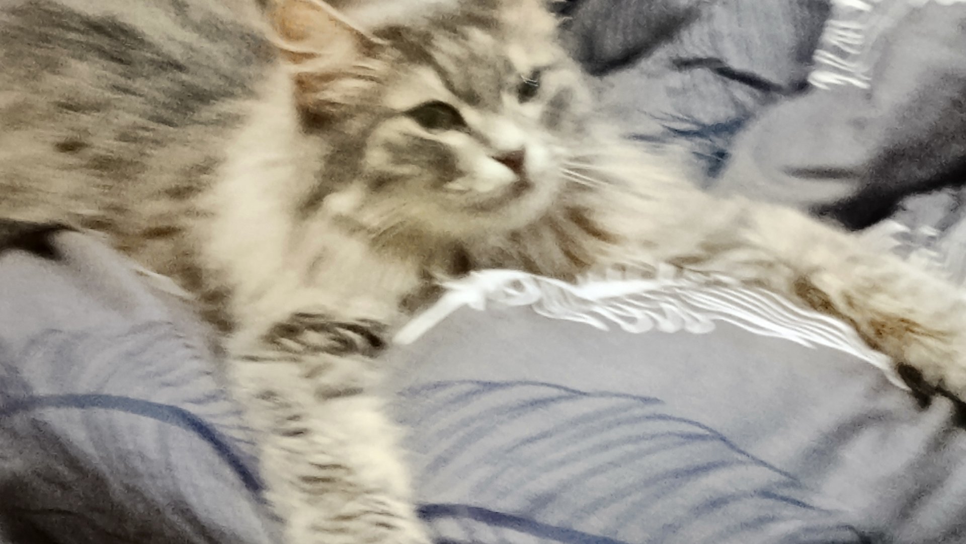 трюки от Футбол-спорт