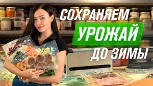 Как сохранить урожай моркови, свёклы, лука, зелени, кабачков, перцев и помидоров в домашних условиях
