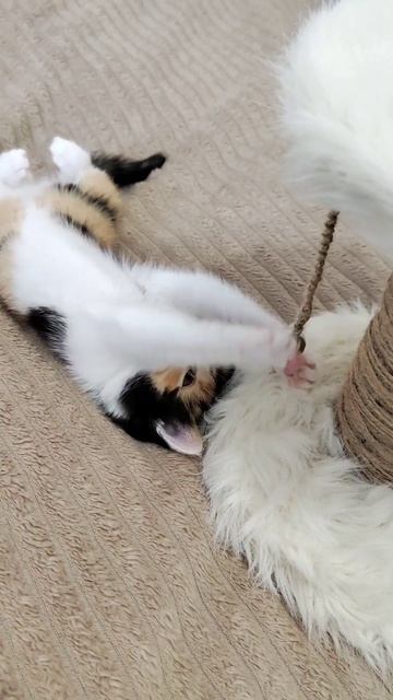 #кися #игрушки #ручная_работа смотреть онлайн