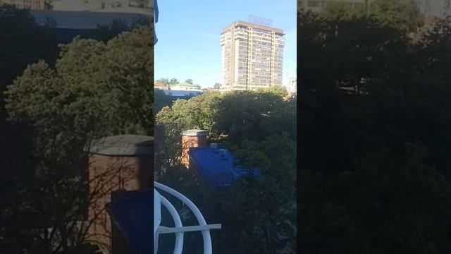 WhatsApp Video 2025-09-12 at 13.25.02 смотреть онлайн