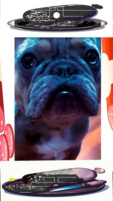 музыка видео юмор мультик кот Матроскин дядя Фёдор смотреть онлайн