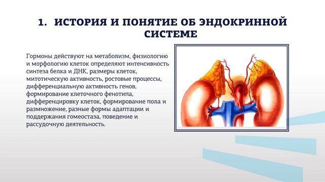 Жиленко ФЗ 4 2