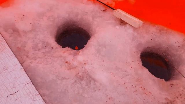 Курово , Рузское водохранилище, февраль 2023 , остров Лохматый . смотреть онлайн