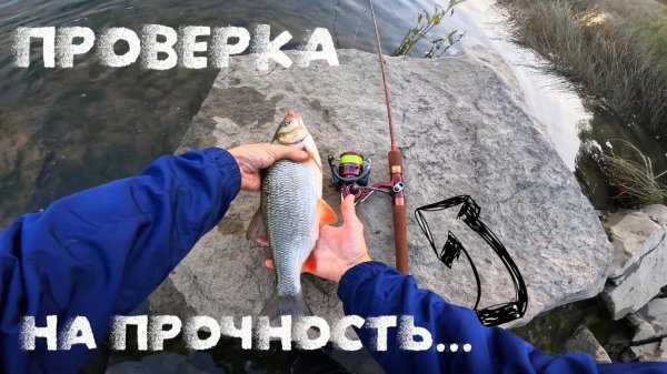 ДУГА в СПИННИНГ! ой, ну вы поняли! 😅 Нагружаем FARIO BRONZE на Оби в Новосибирске!